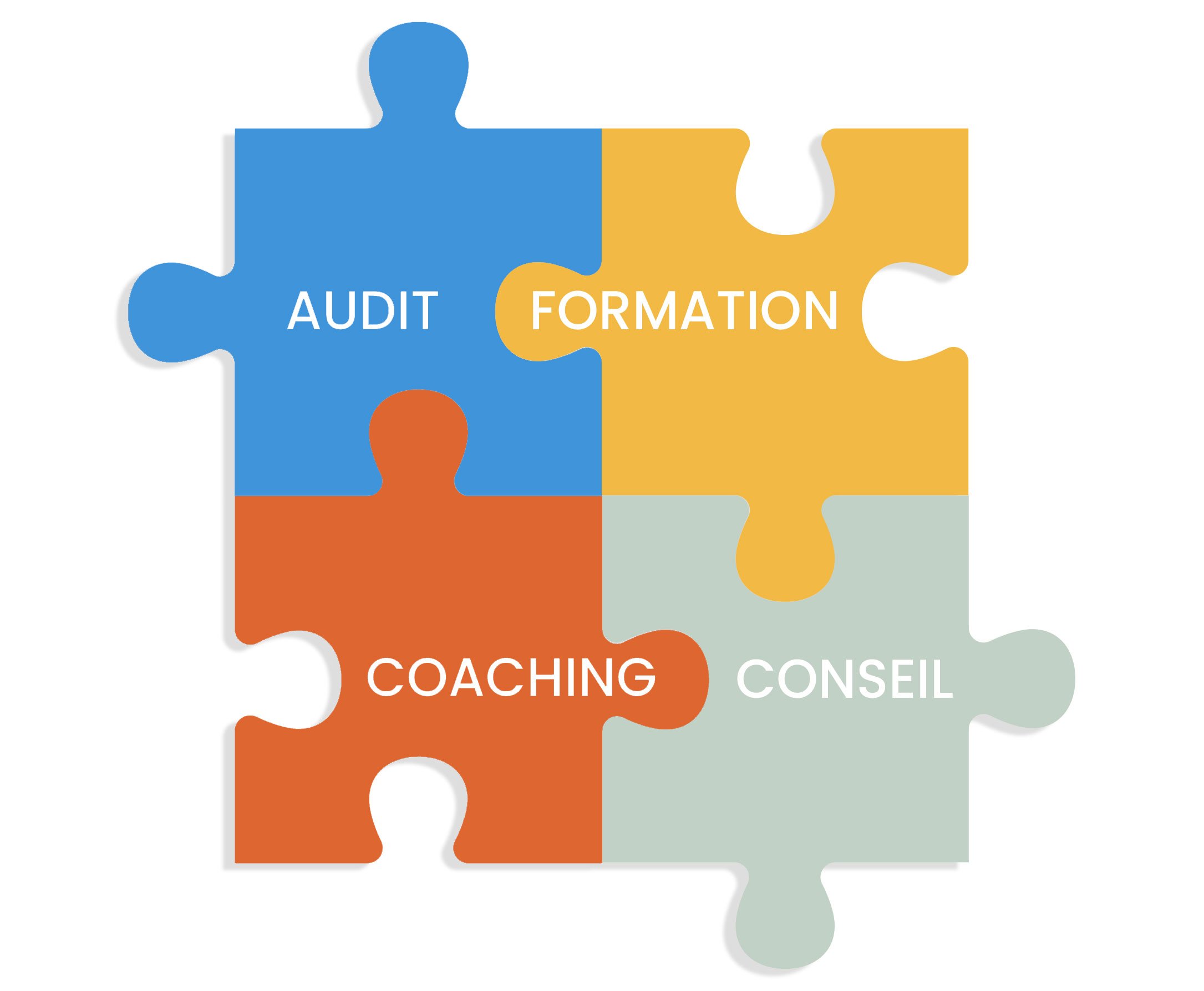 Coaching en management. Formation, audit, accompagnement du dirigeant, recrutement